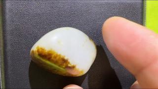 新疆和田玉籽料原石 28.8克 真皮真色 上下秋梨天地皮 原籽无修型 特