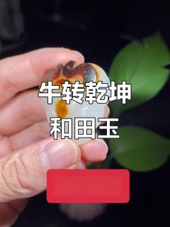 和田玉籽料《牛转乾坤》:红黑皮白肉,20.5克小精品