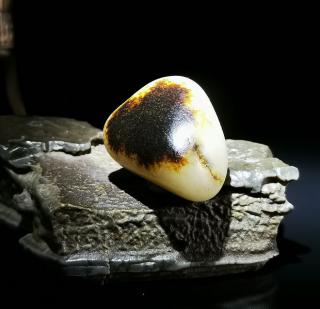 和田玉是中国传统文化重要种类,拥有悠久的历史,欣赏和田玉原石